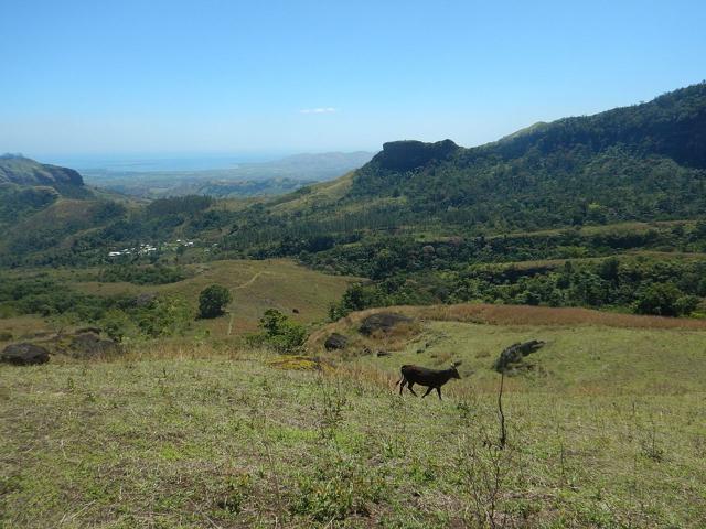 Koroyanitu National Park